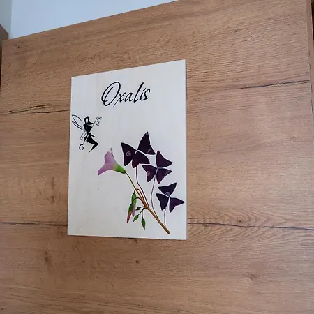 La Clef Des Songes 3* Mertzwiller