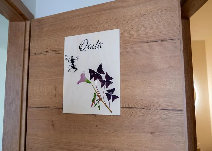 La Clef Des Songes 3* Mertzwiller