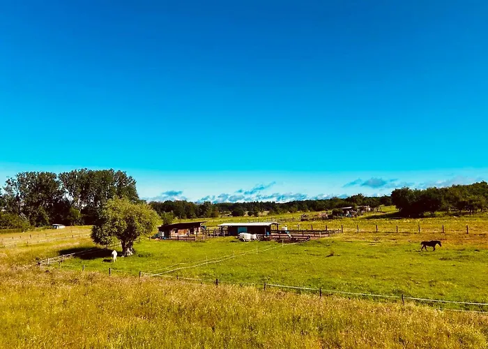 La Clef Des Songes Bed & Breakfast Mertzwiller